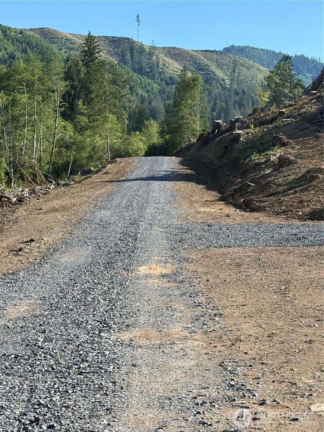 215 Mineral Road Property Photo 9