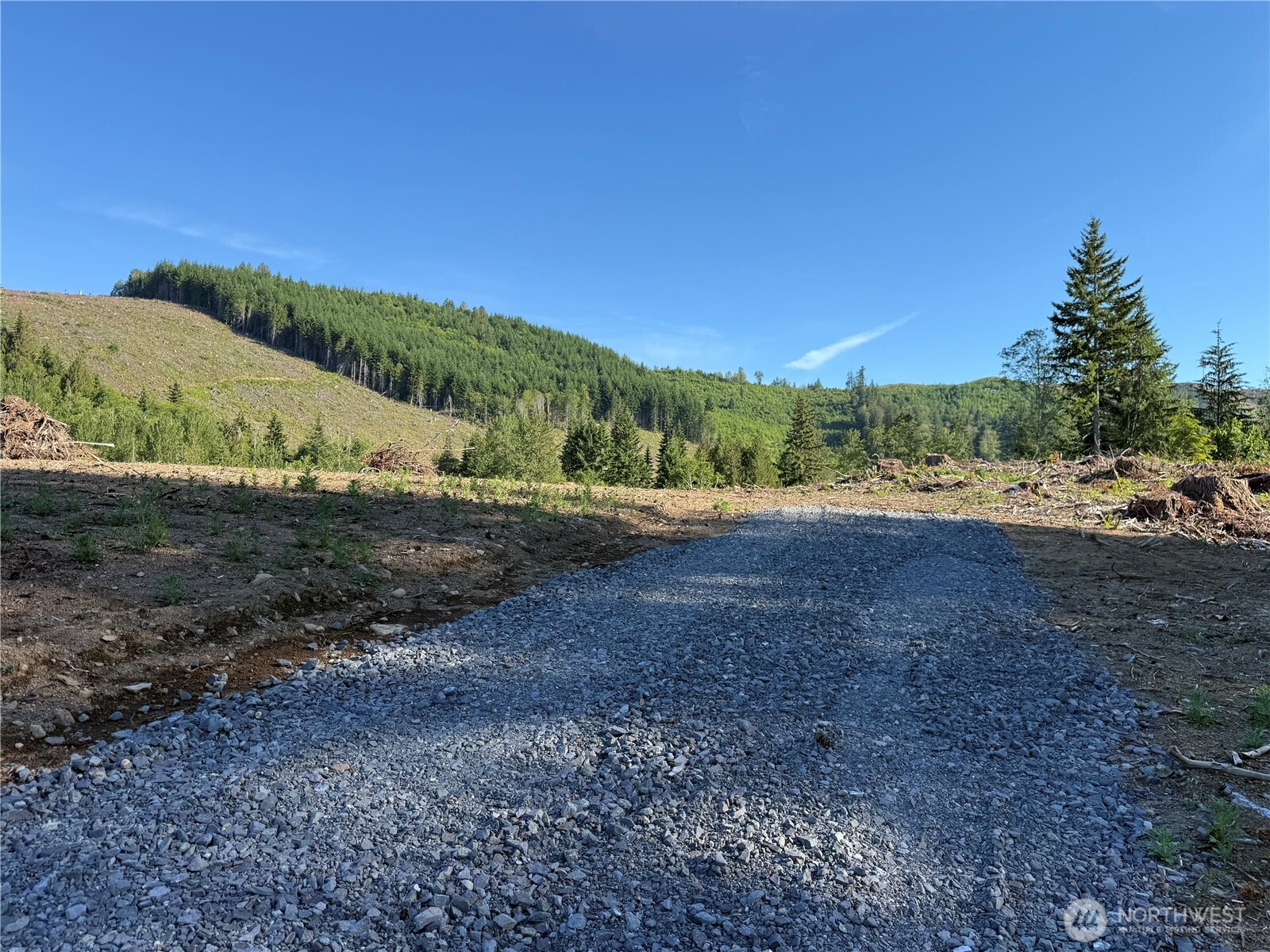 215 Mineral Road Property Photo 10