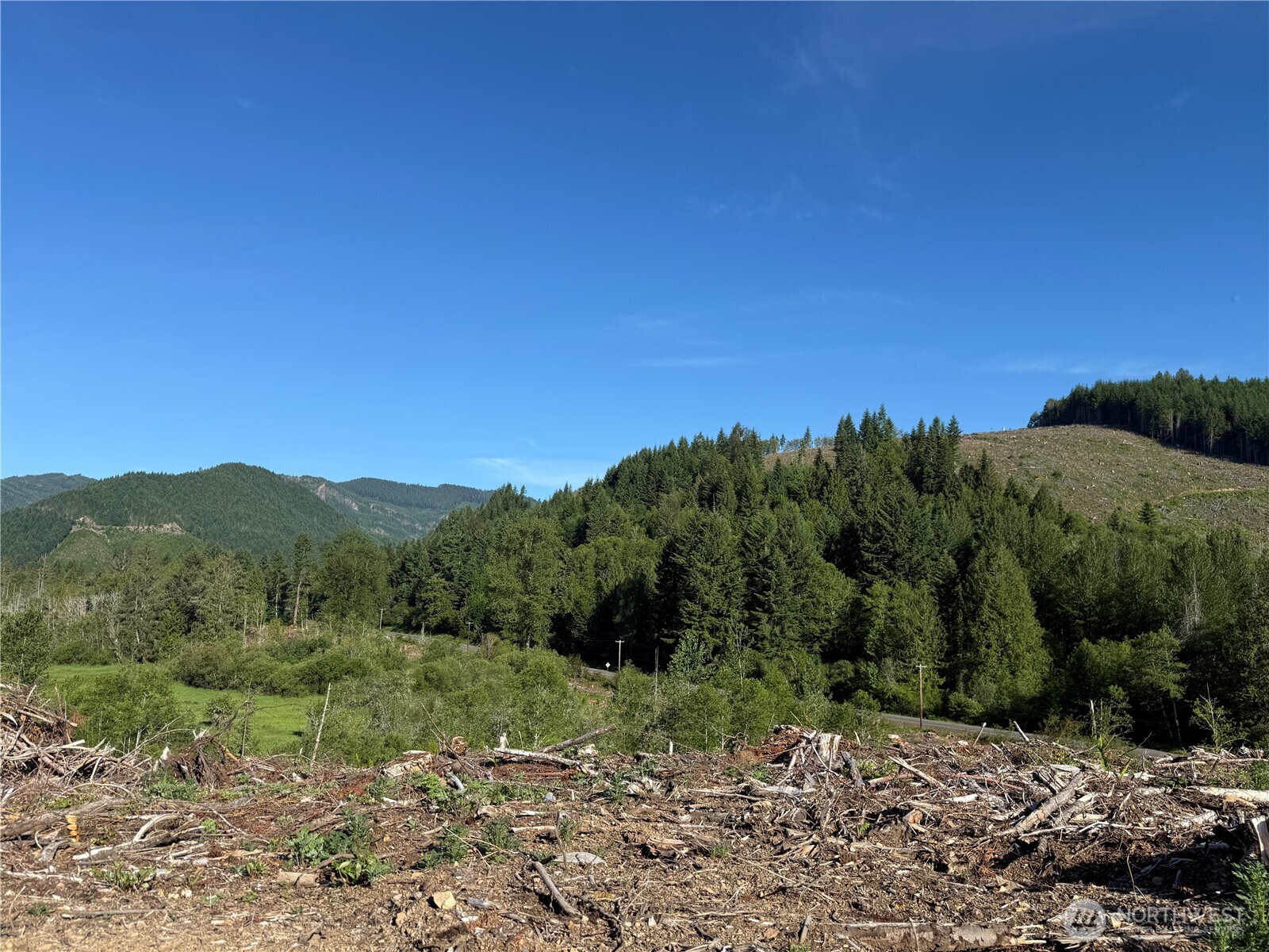 215 Mineral Road Property Photo 12