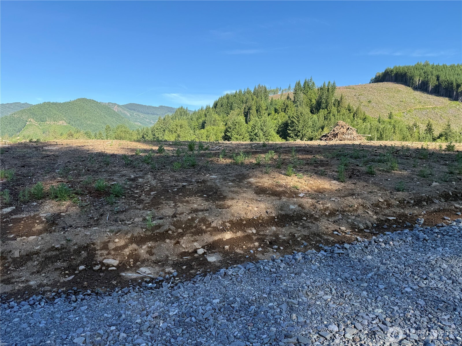 215 Mineral Road Property Photo 15
