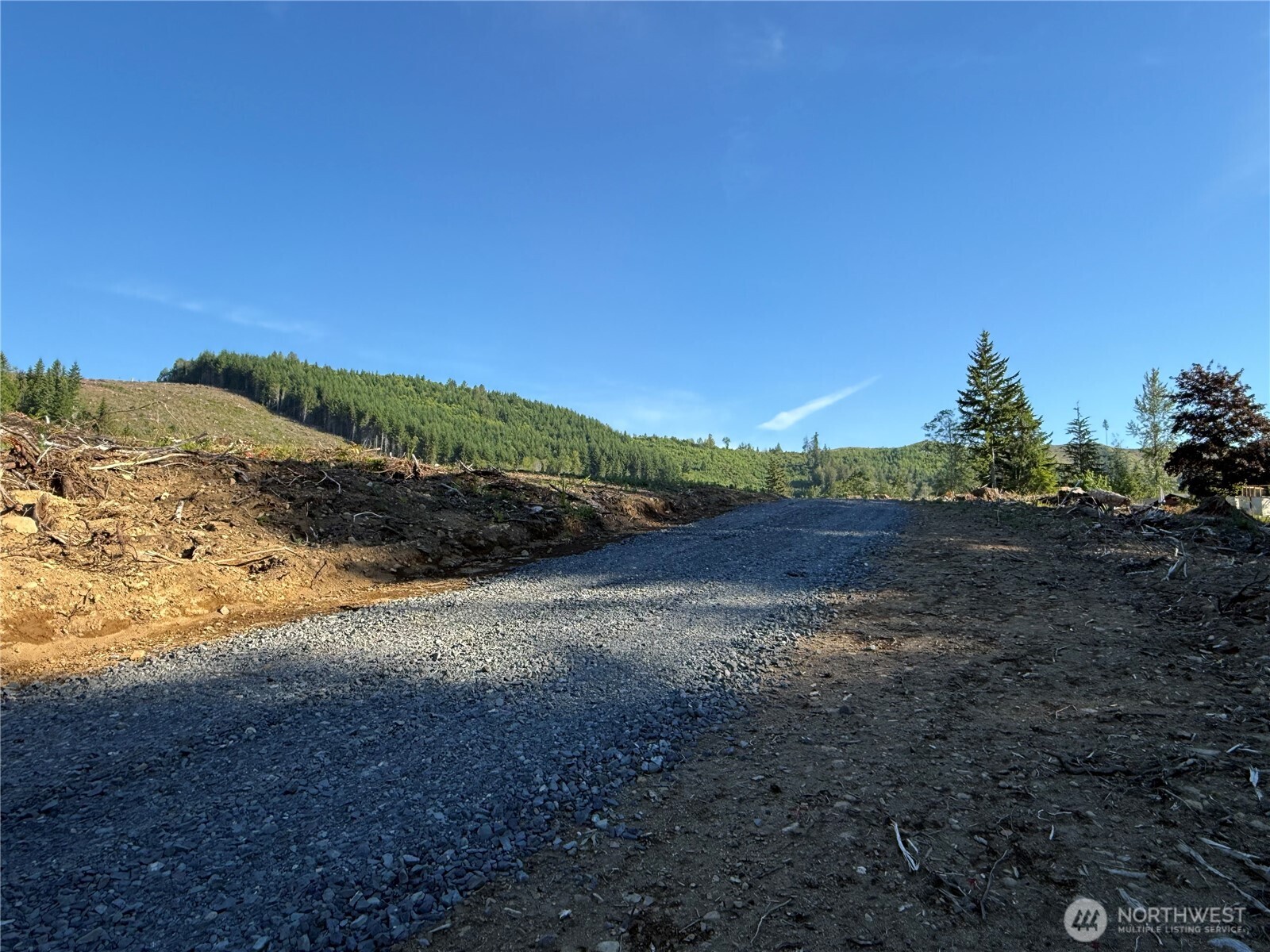 215 Mineral Road Property Photo 16
