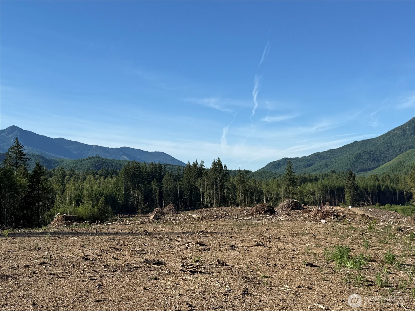 215 Mineral Road Property Photo 17
