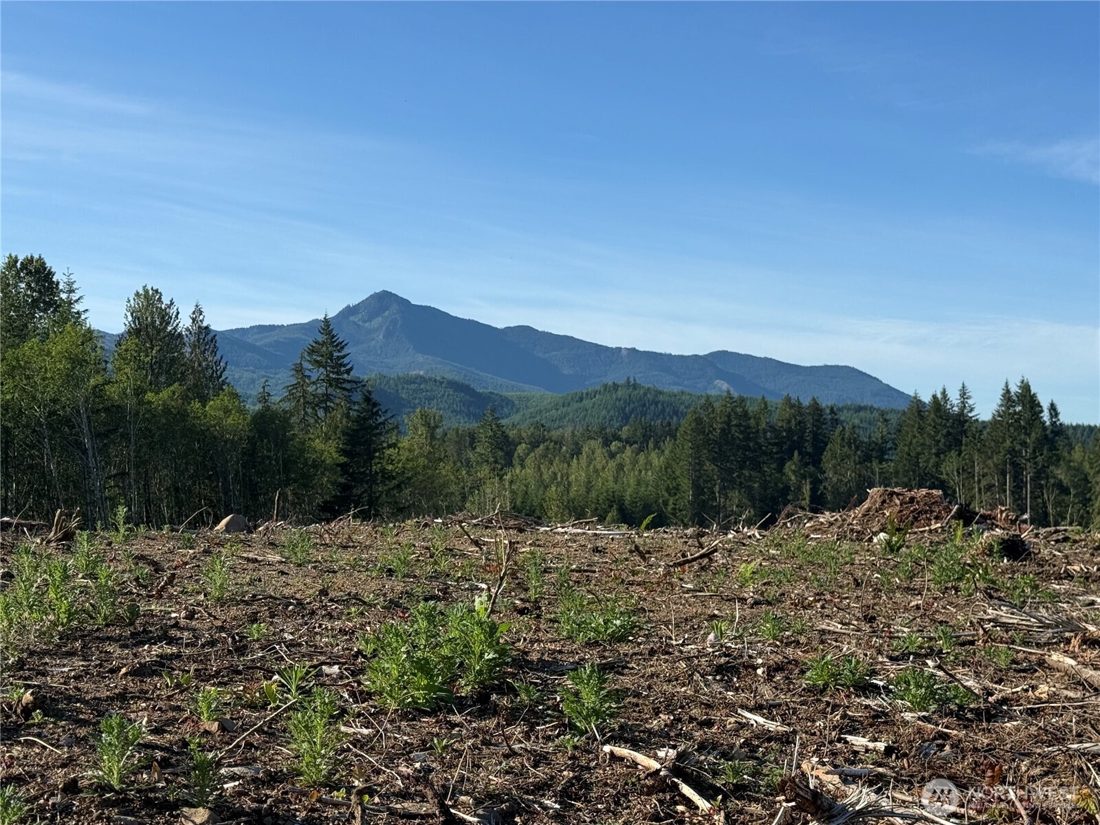 215 Mineral Road Property Photo 19