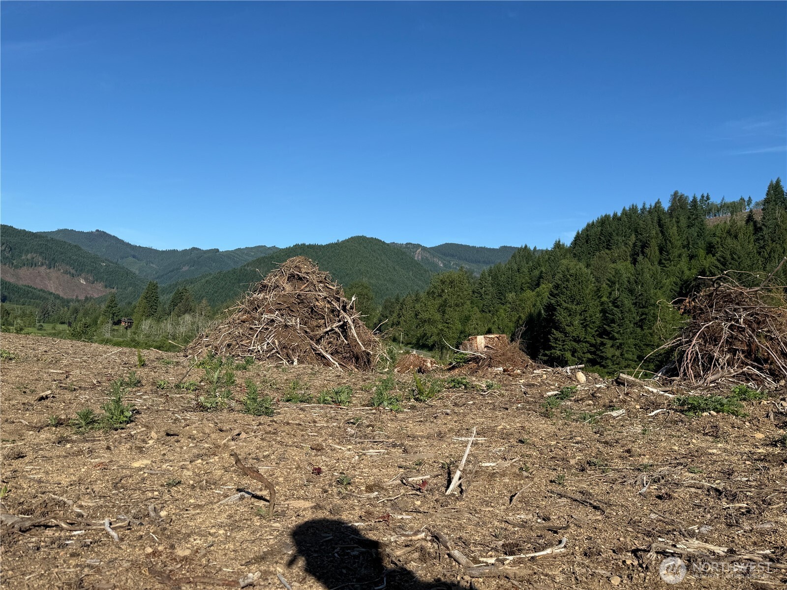 215 Mineral Road Property Photo 22