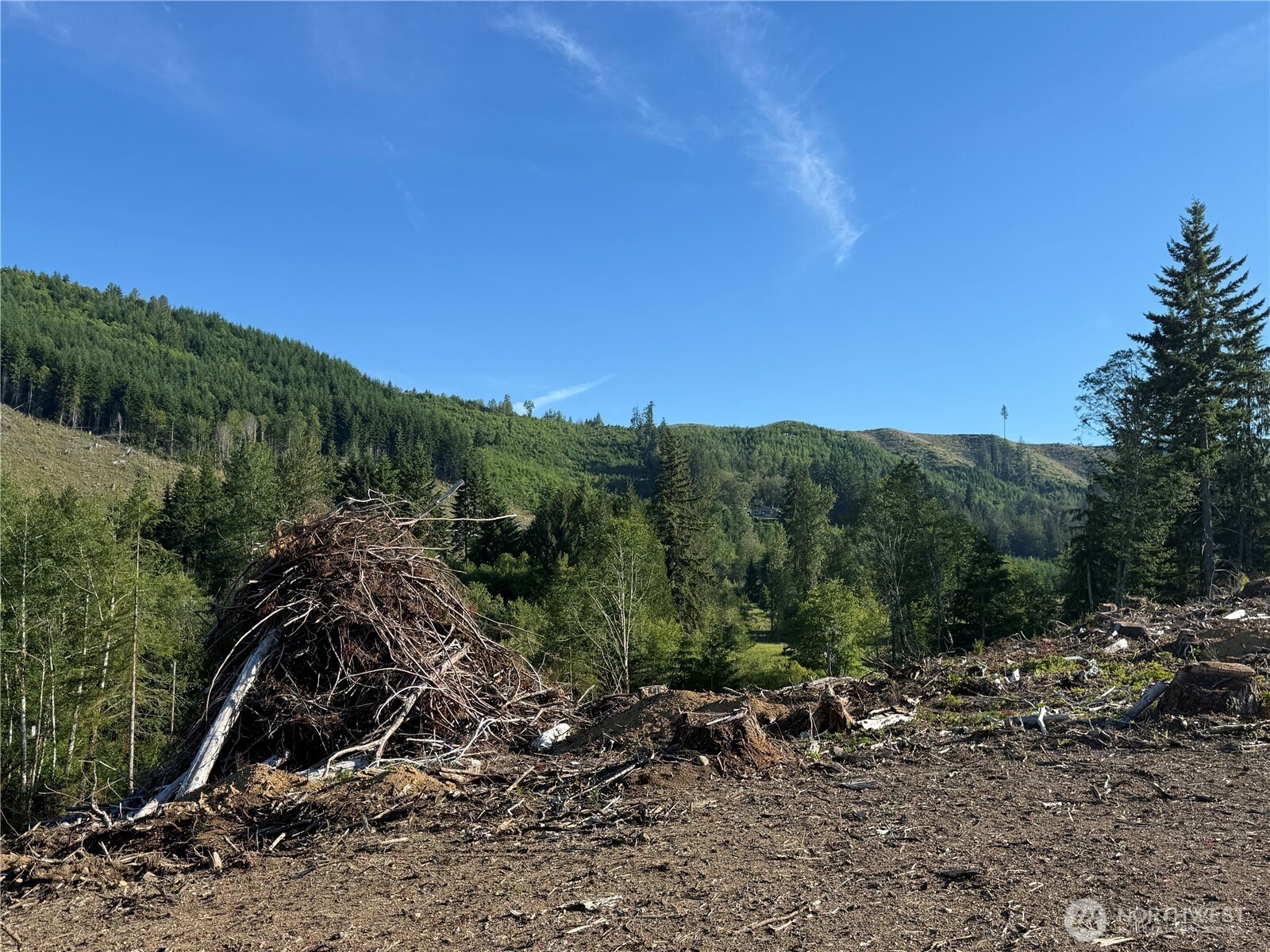 215 Mineral Road Property Photo 25