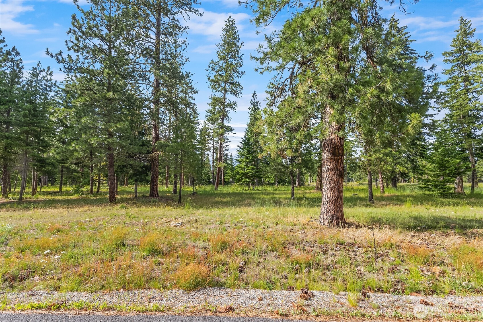 51 Domerie Park Loop Property Photo 6