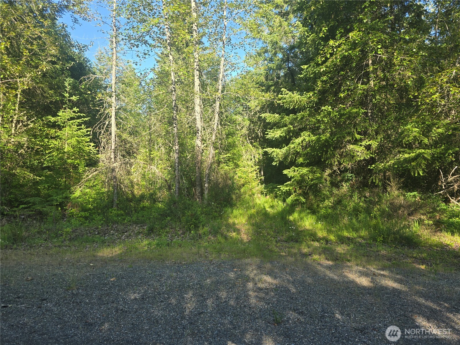 13721 Starflower Lane Property Photo 1