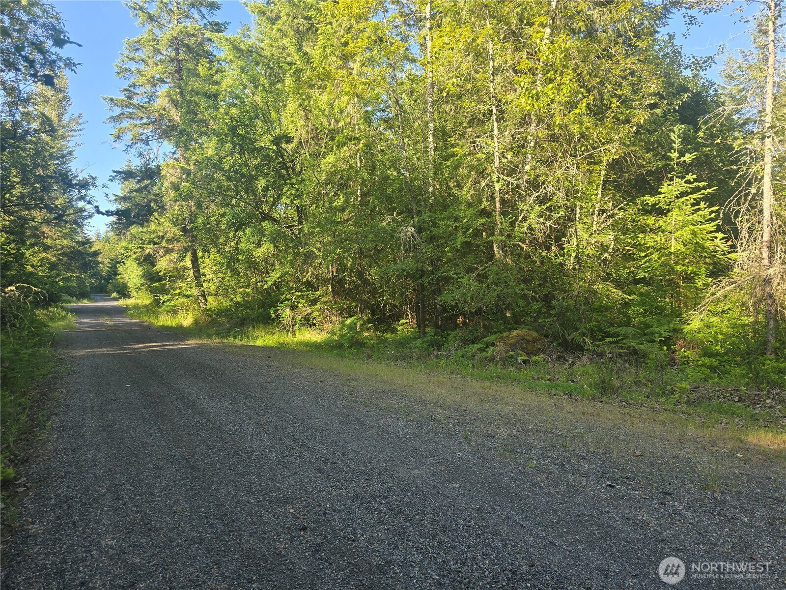 13721 Starflower Lane Property Photo 2