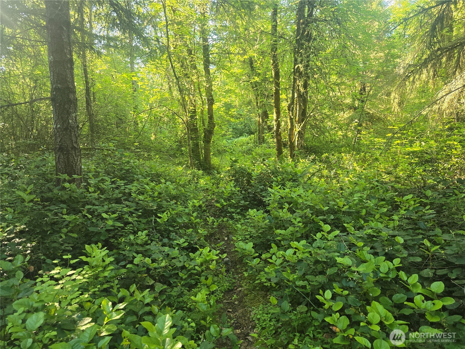 13721 Starflower Lane Property Photo 3