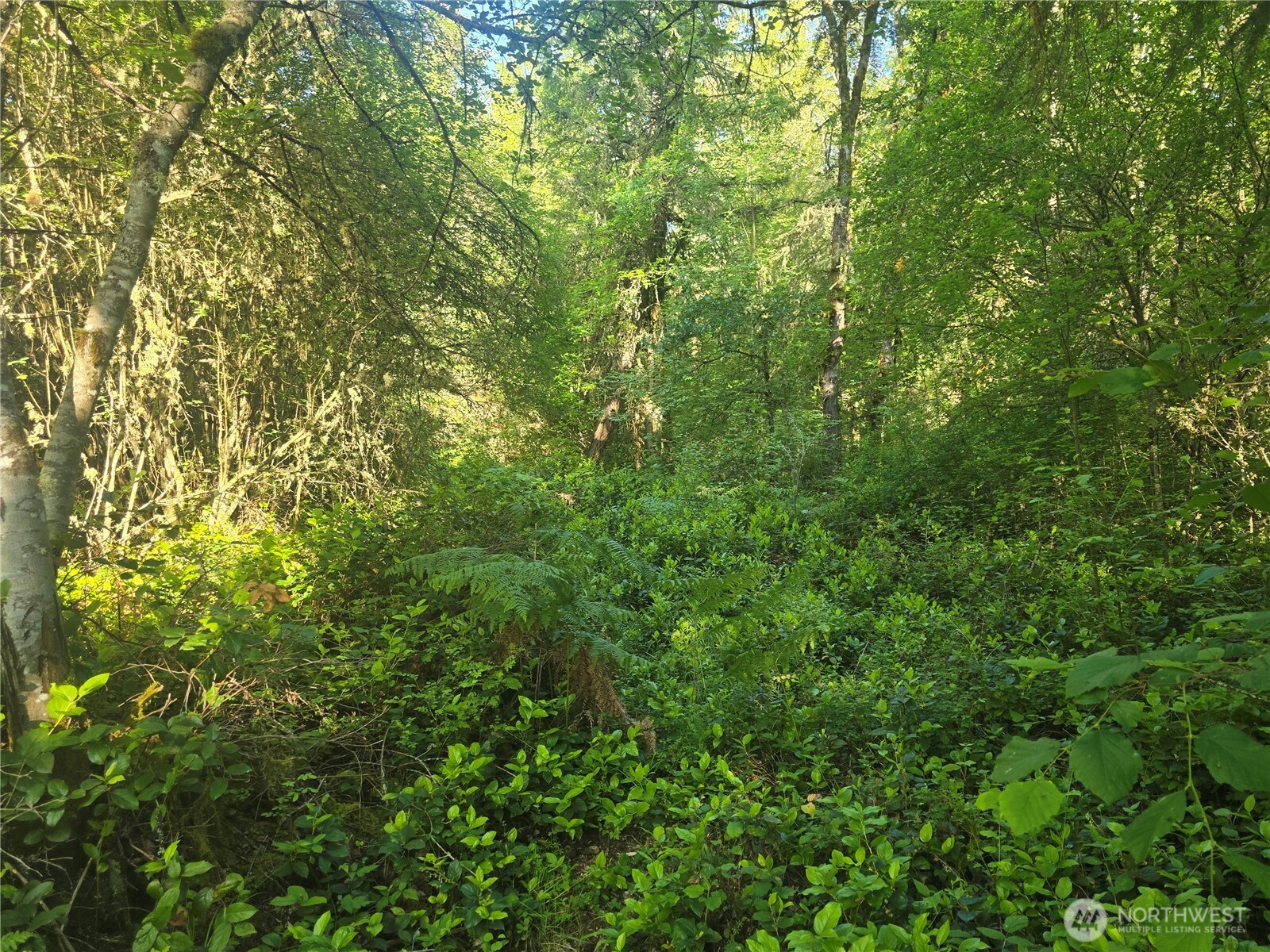 13721 Starflower Lane Property Photo 4