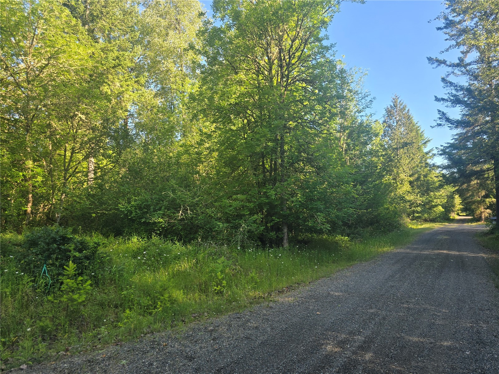 13701 Starflower Lane Property Photo 1