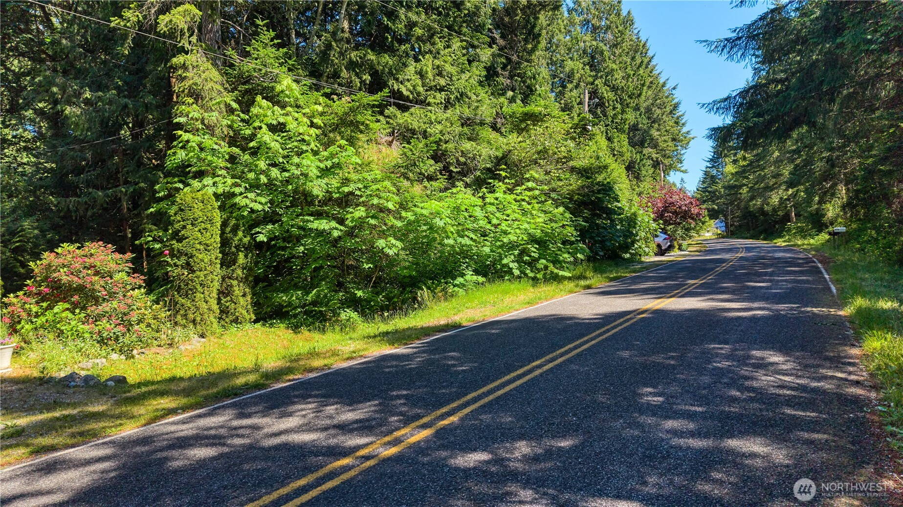0 Lot 67 Province Road Property Photo 1