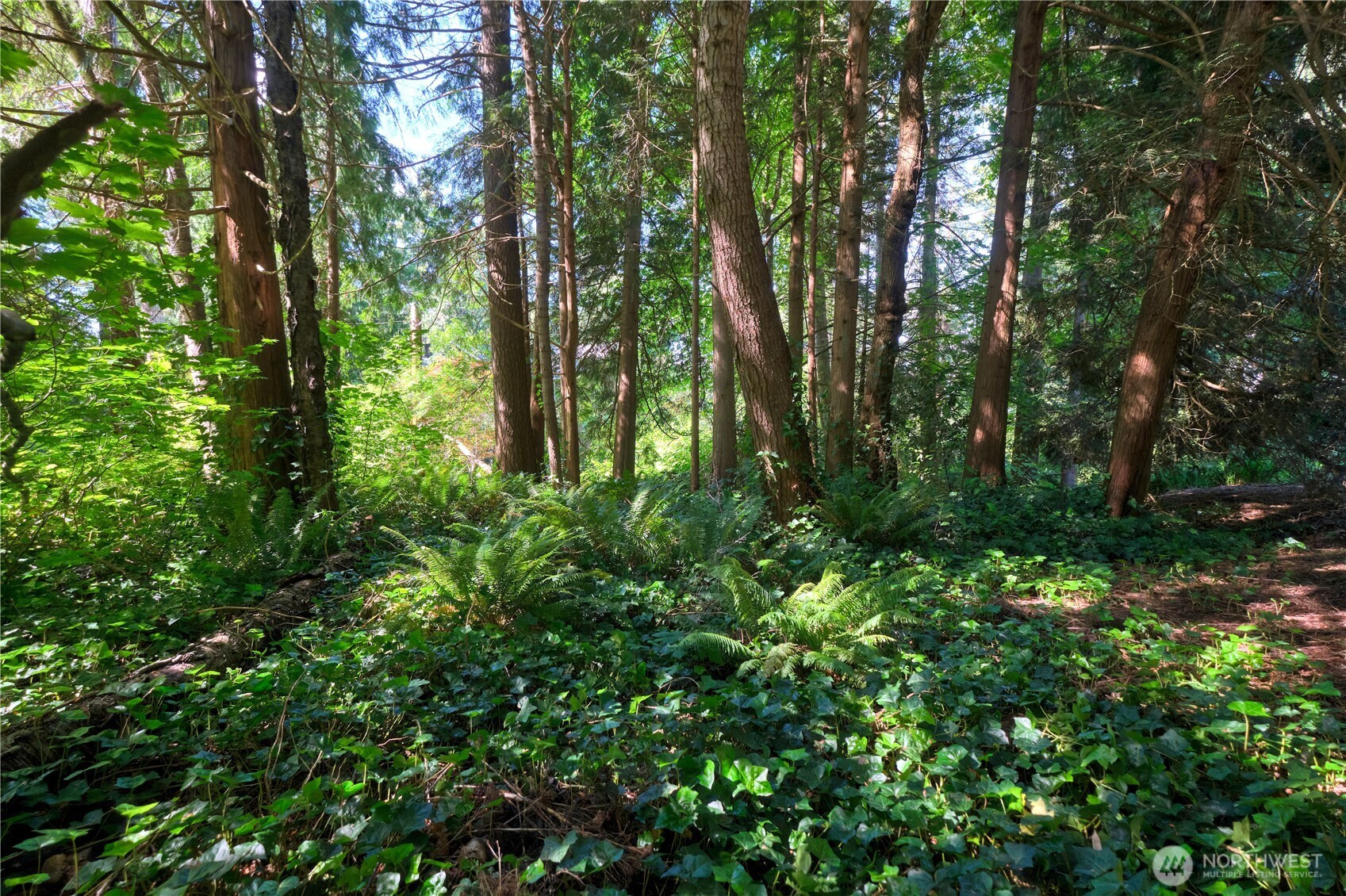 0 Lot 67 Province Road Property Photo 3