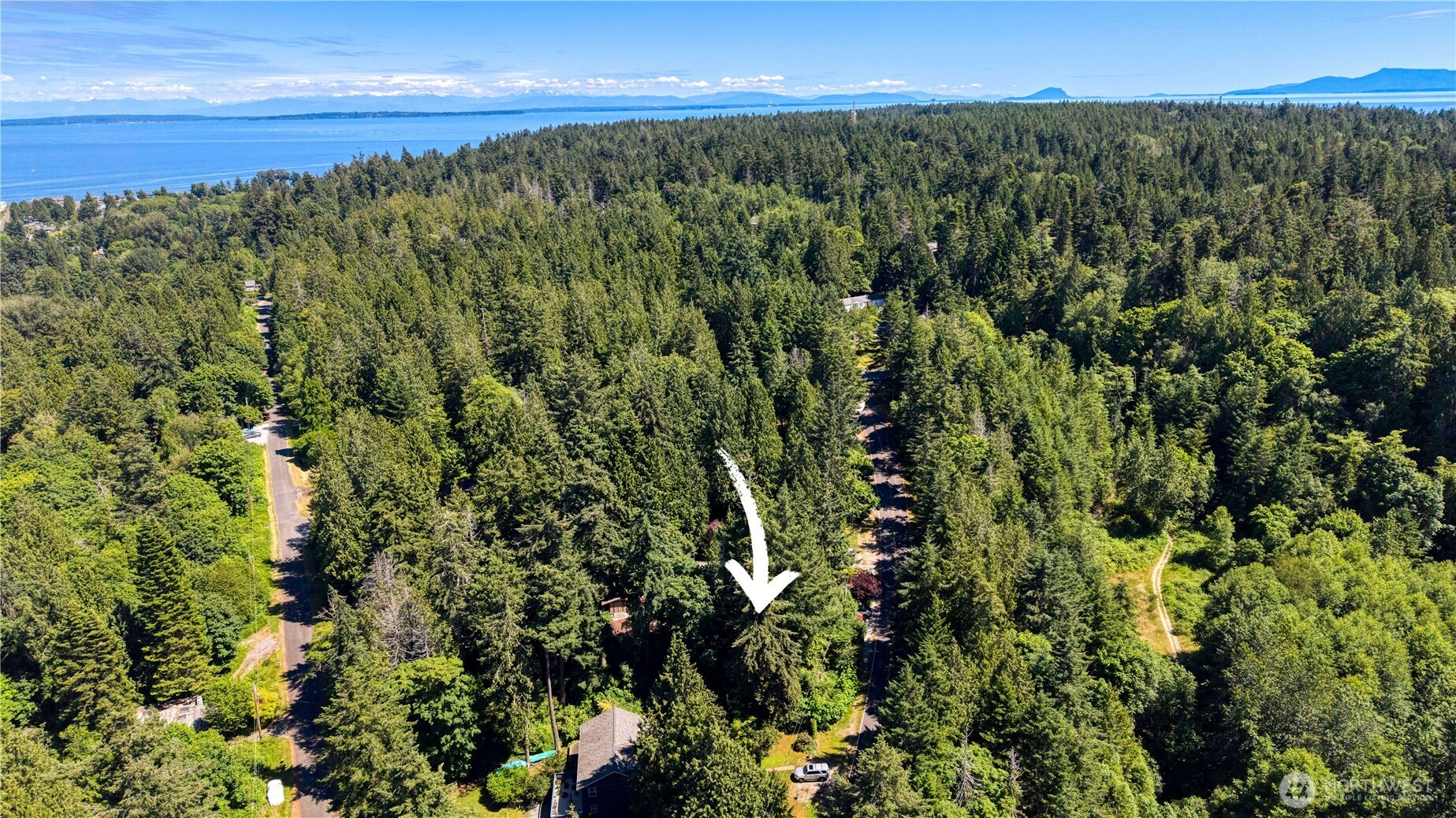 0 Lot 67 Province Road Property Photo 6
