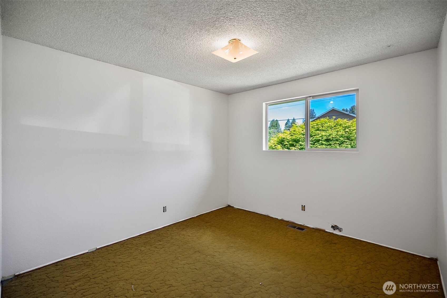 10520 20th Street Property Photo 16