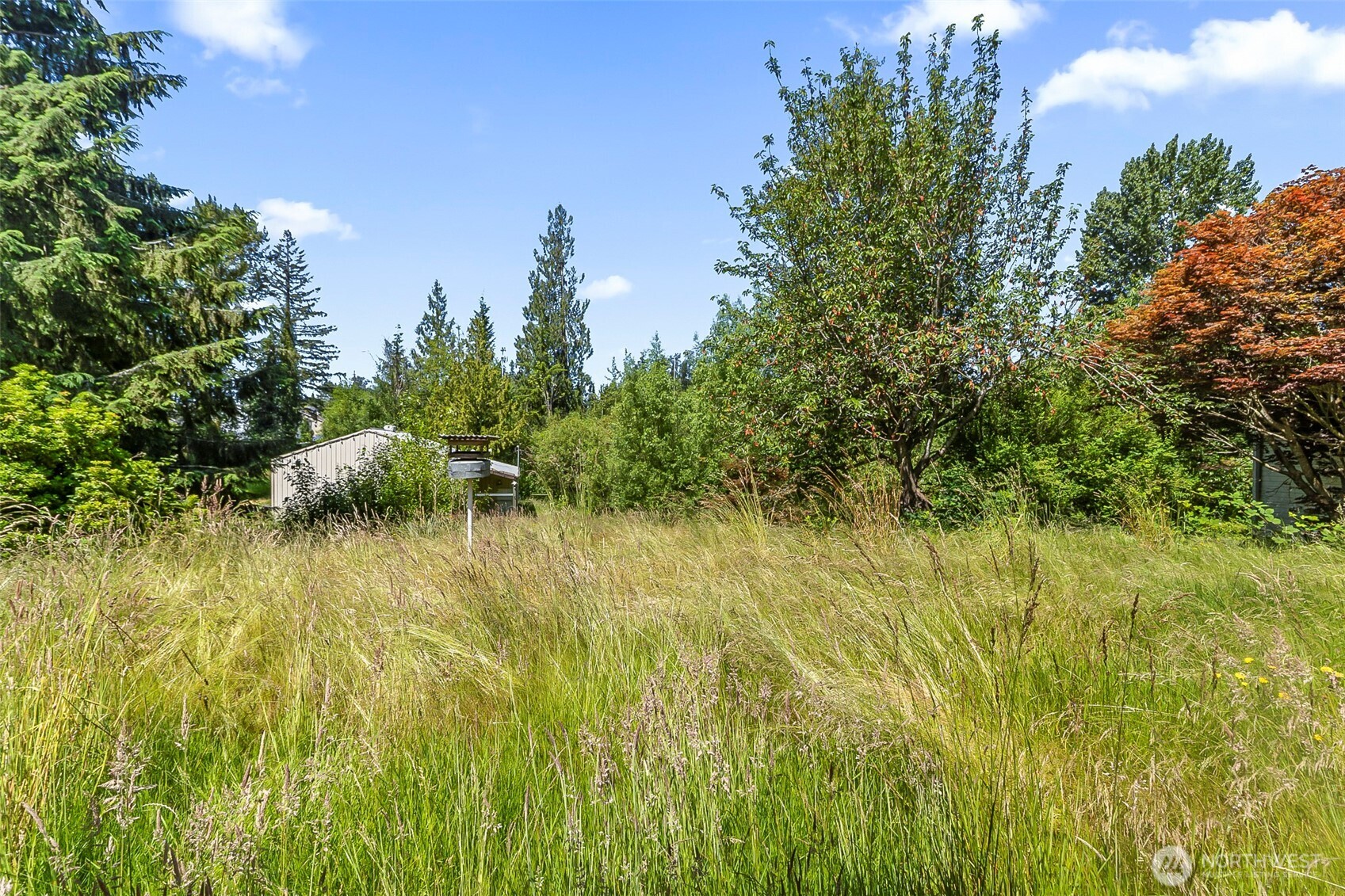 10520 20th Street Property Photo 27