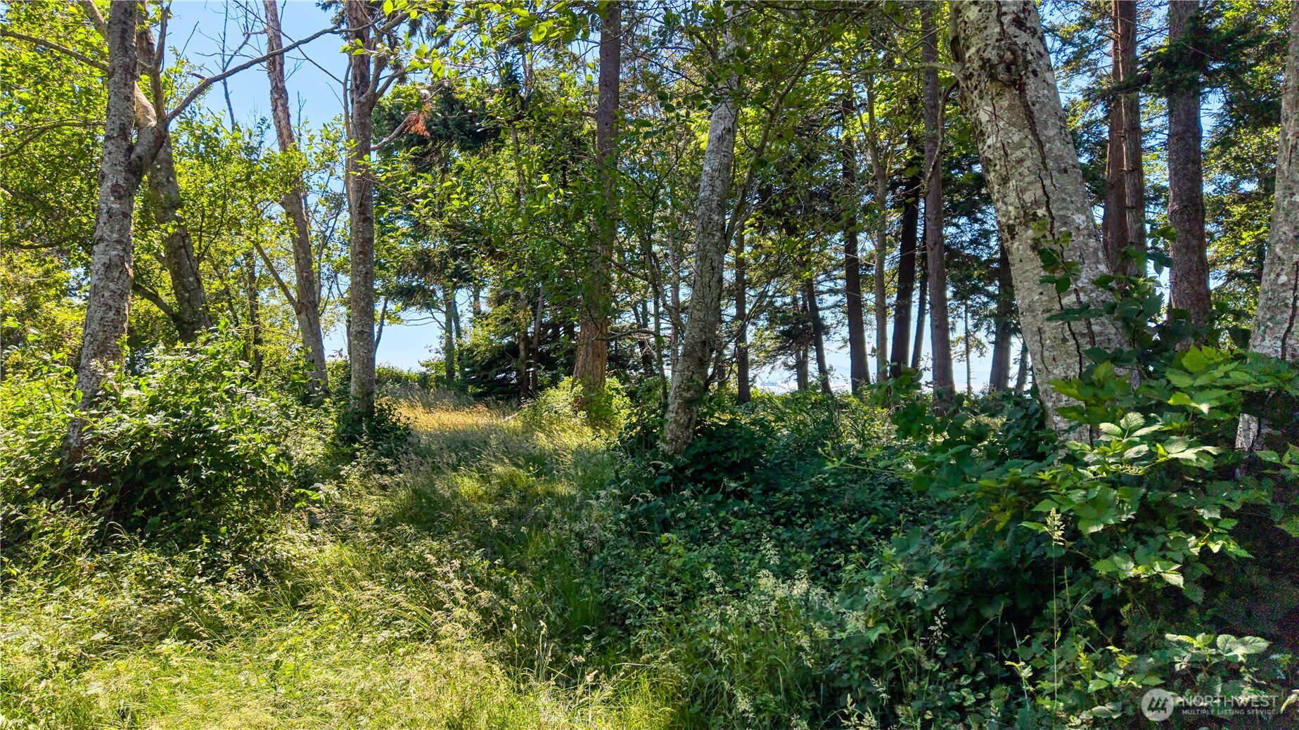297 Marine Drive Property Photo 7