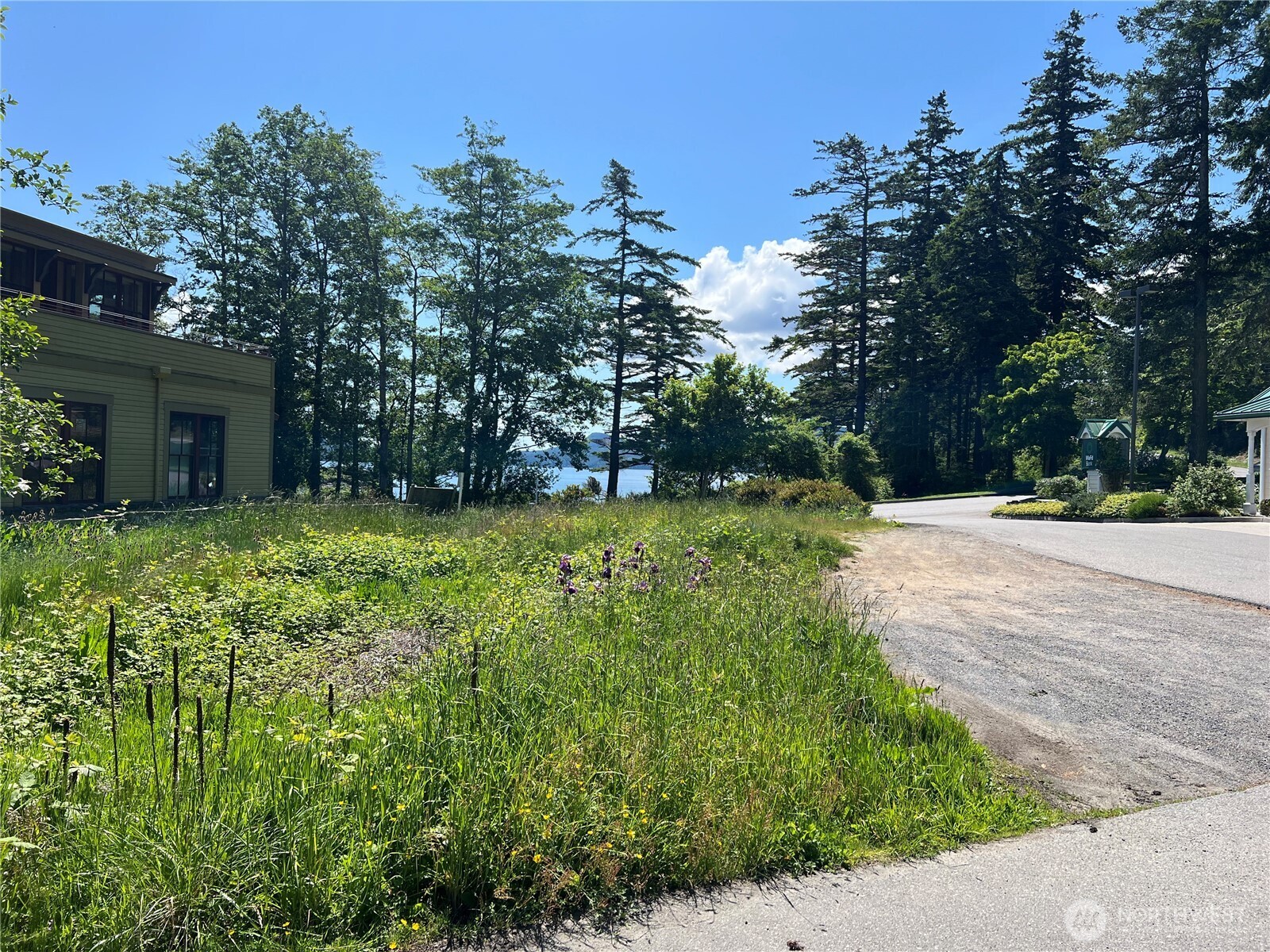 0 Main Street Property Photo 11