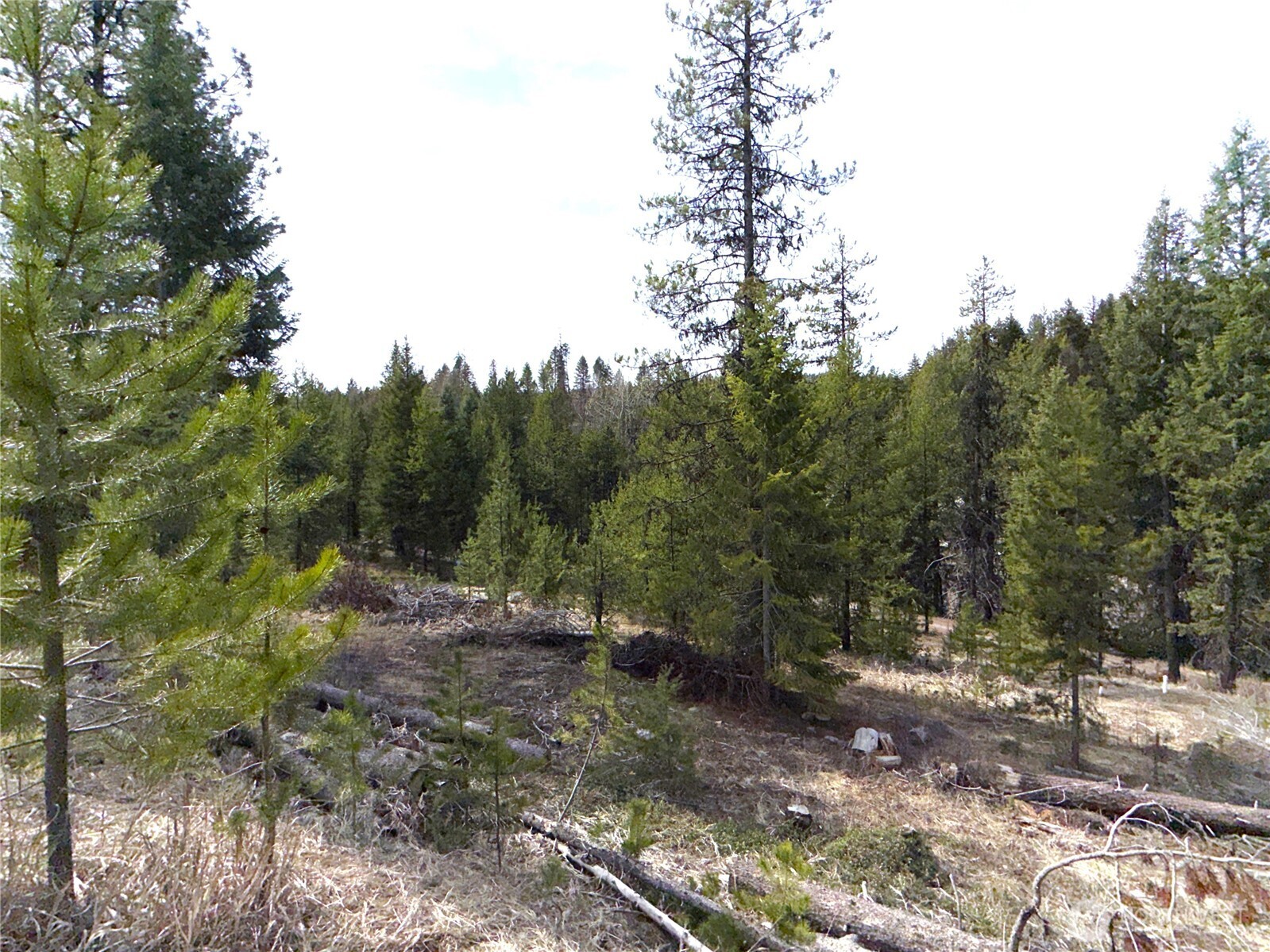 37 Gardner Creek Road Property Photo 17