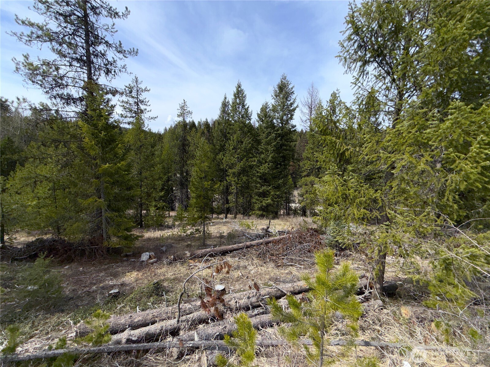 37 Gardner Creek Road Property Photo 18