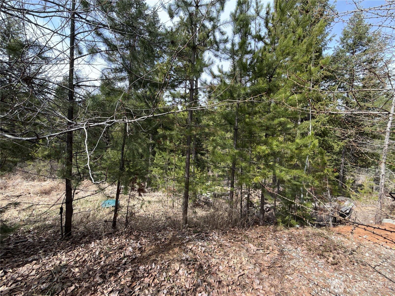 37 Gardner Creek Road Property Photo 19