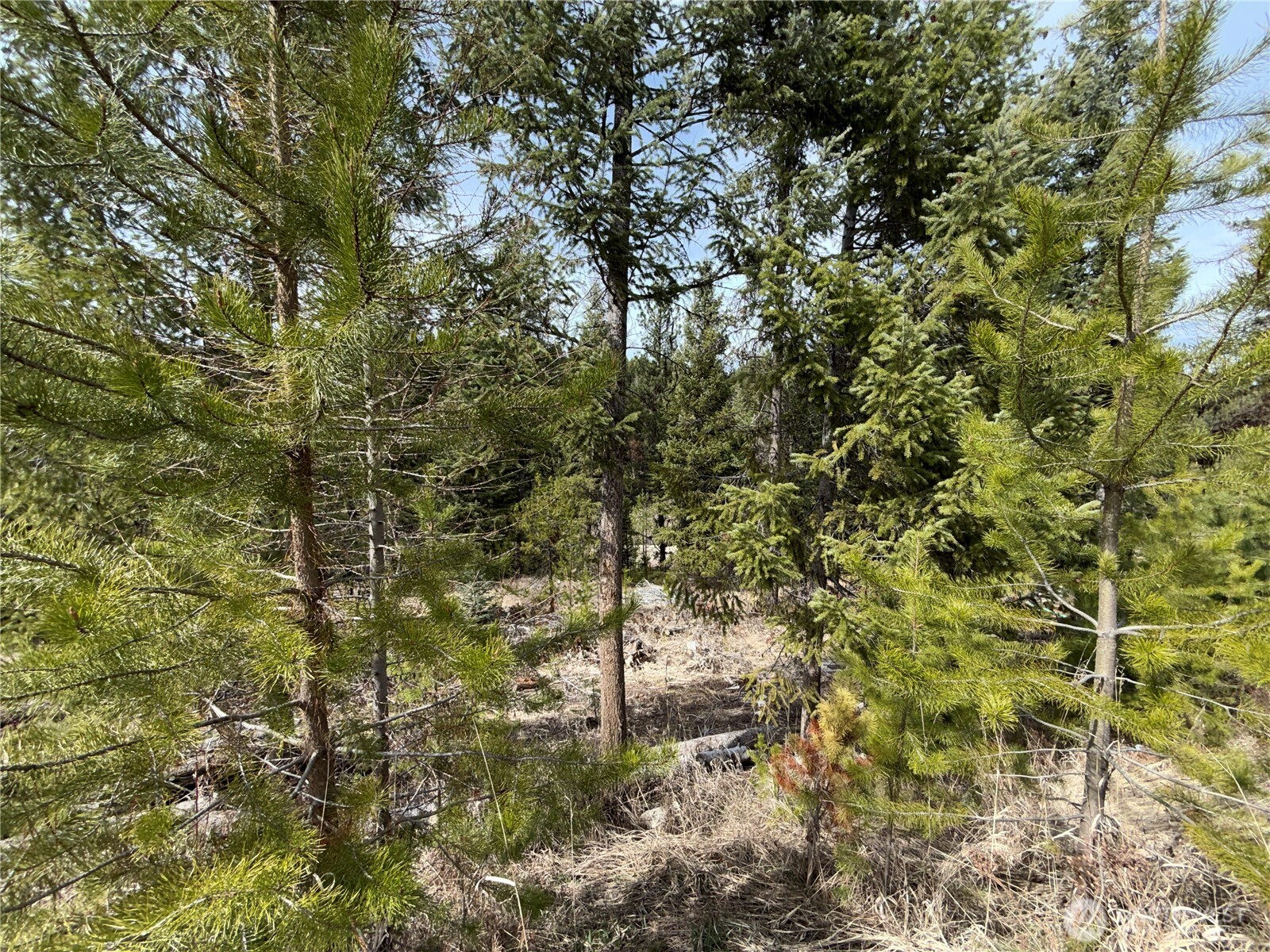 37 Gardner Creek Road Property Photo 22