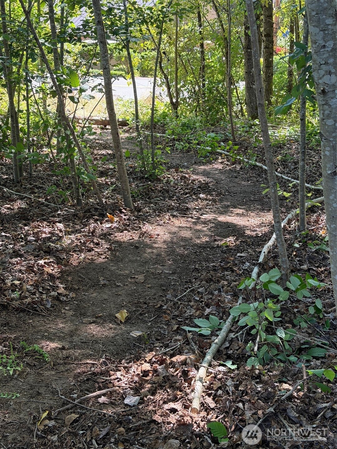 4309 Burnham Drive Property Photo 6