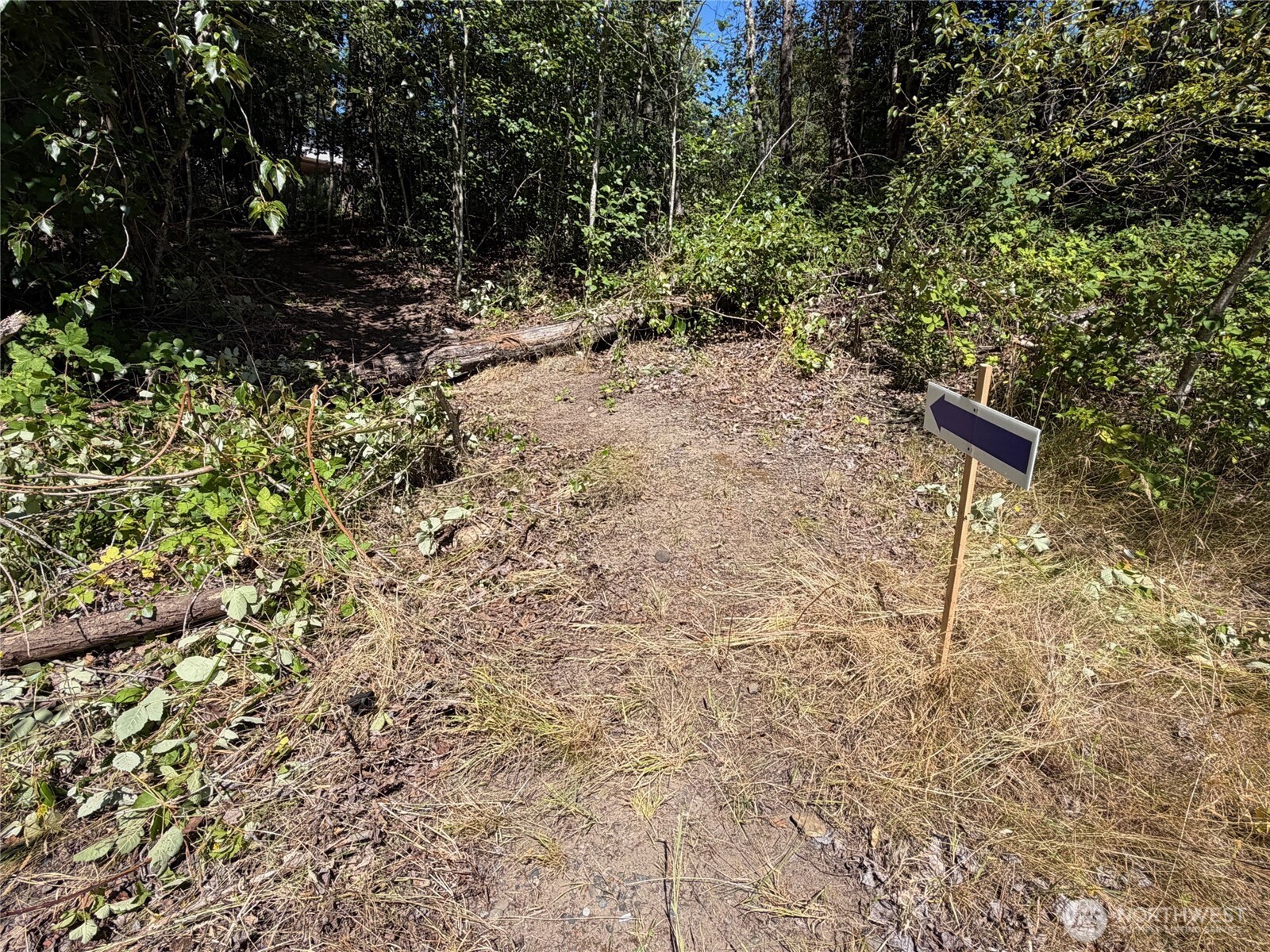 4309 Burnham Drive Property Photo 7