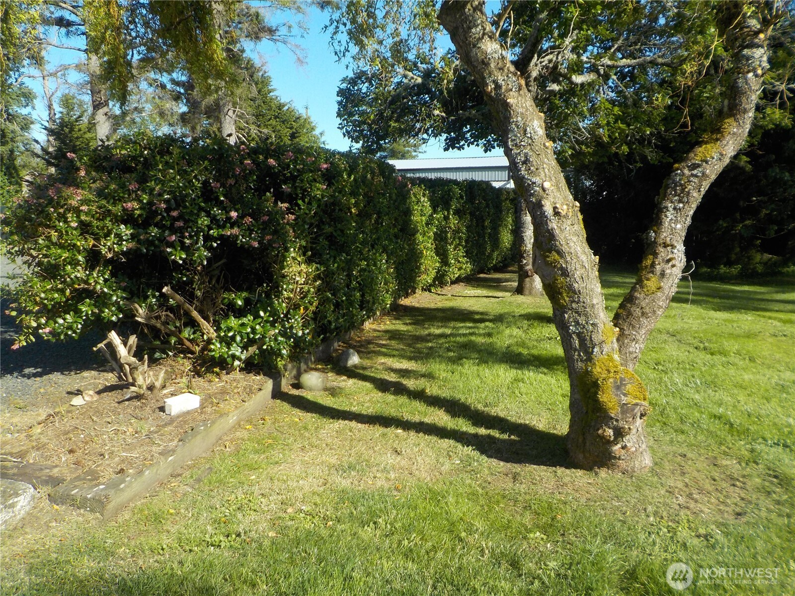 830 Bussone Ln Property Photo 14