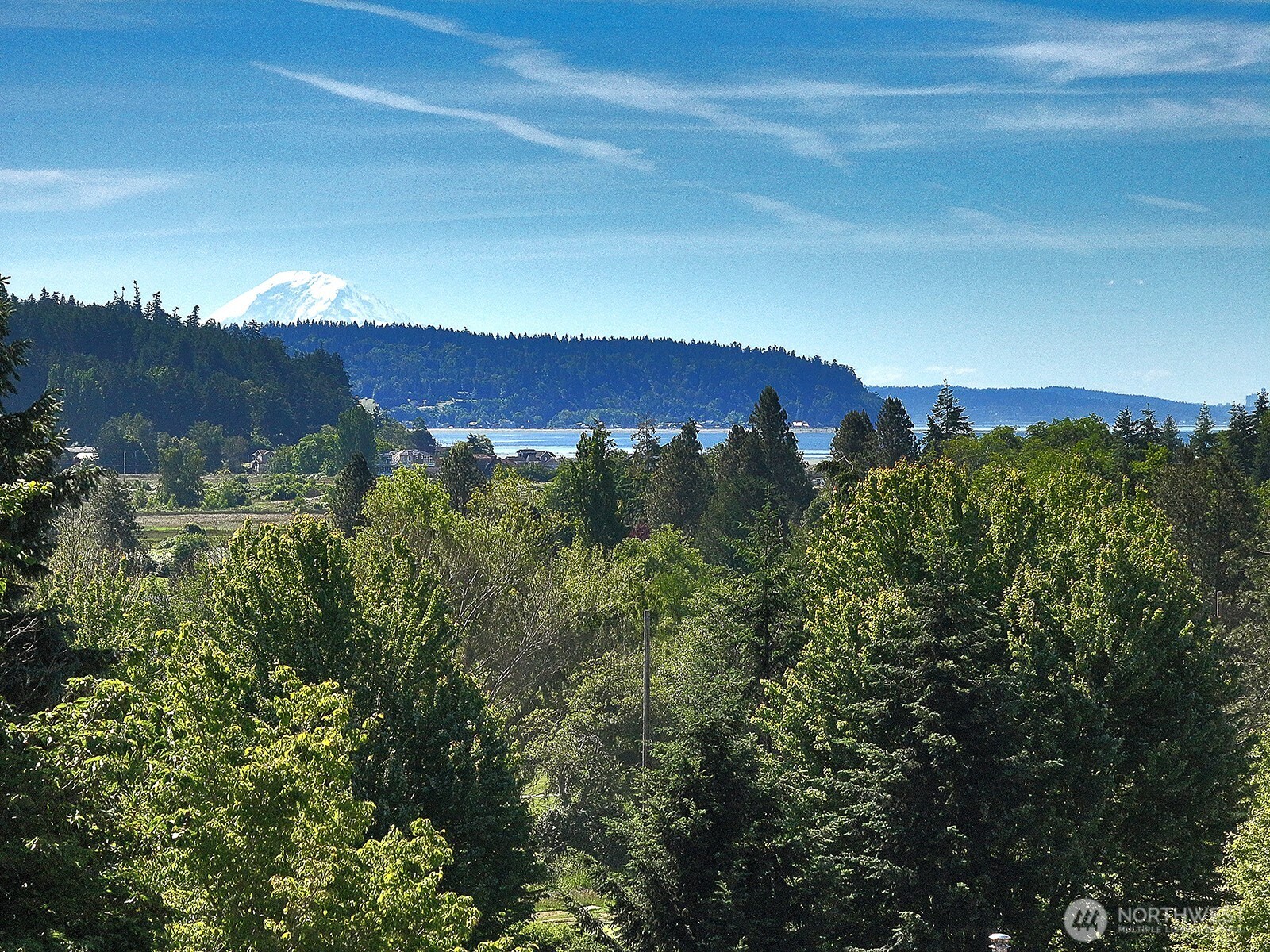2441 Hillis Drive Property Photo 3