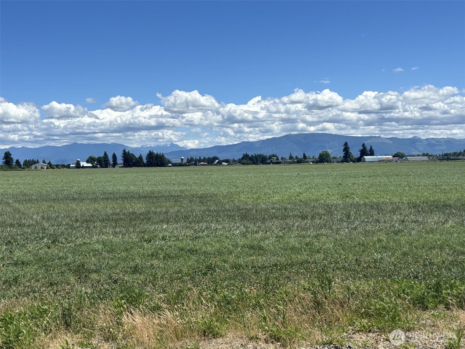 8976 Double Ditch Road Property Photo 4