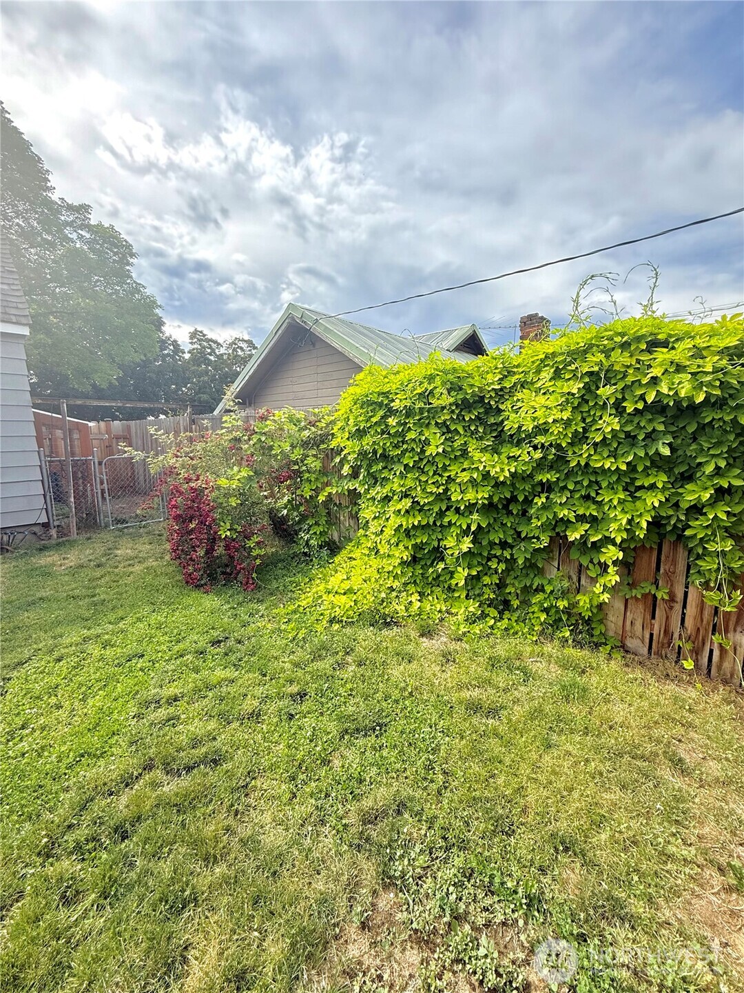 411 Ash Street Property Photo 5