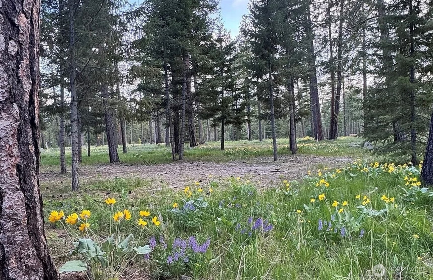 331 Wanawish Loop Property Photo 1