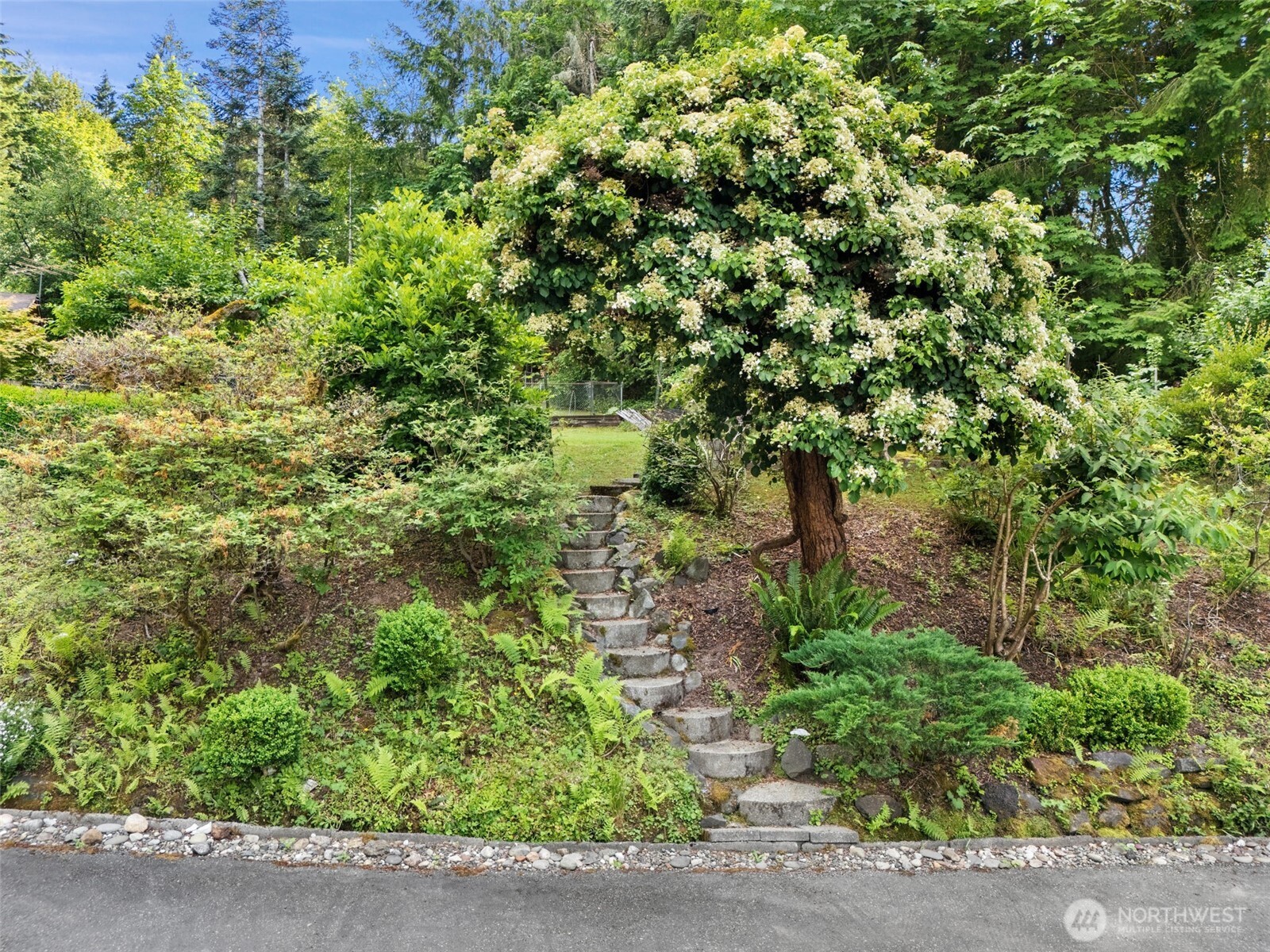 2540992 Property Photo 30