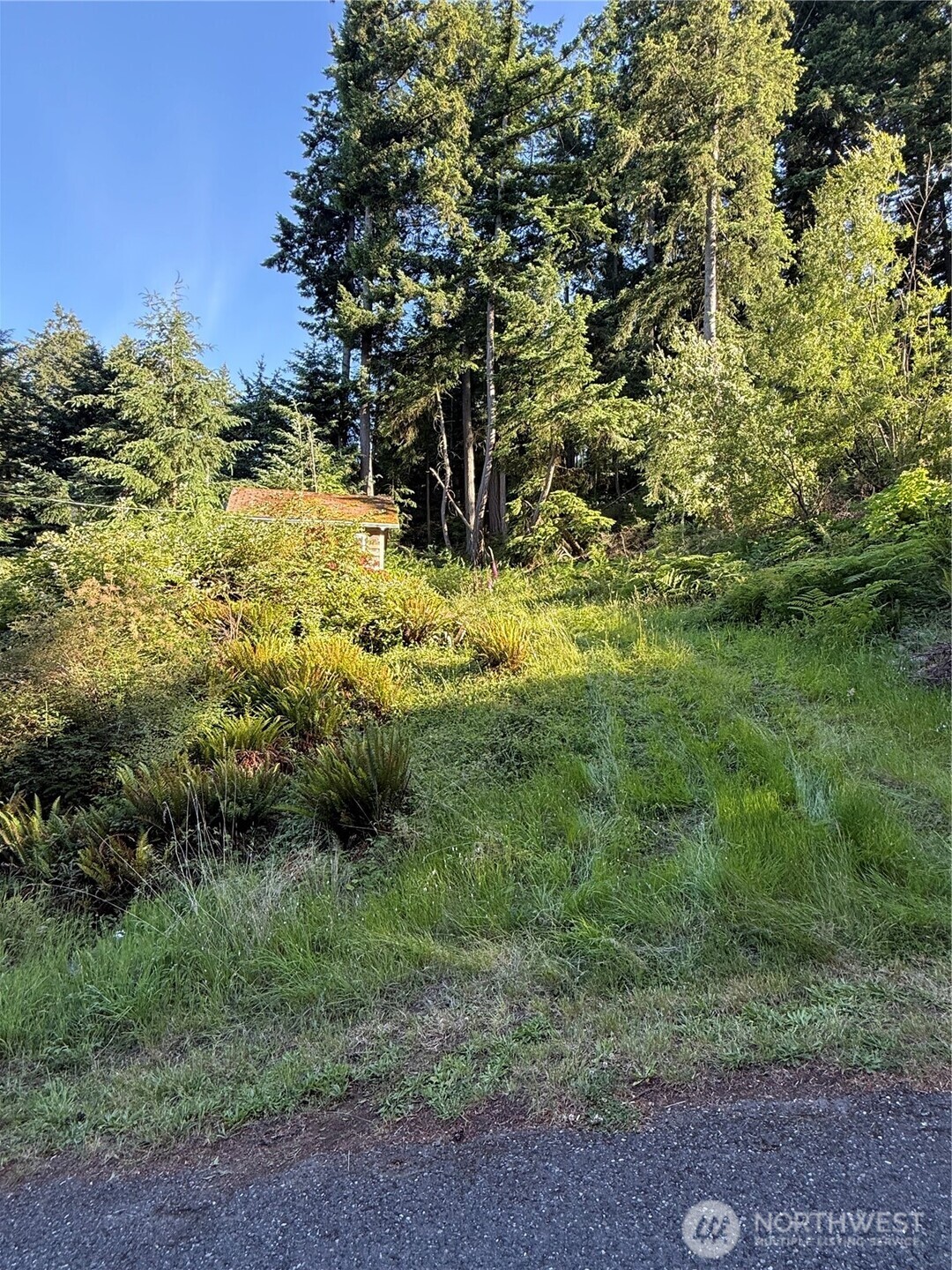 2959 Dogwood Terrace Property Photo 2