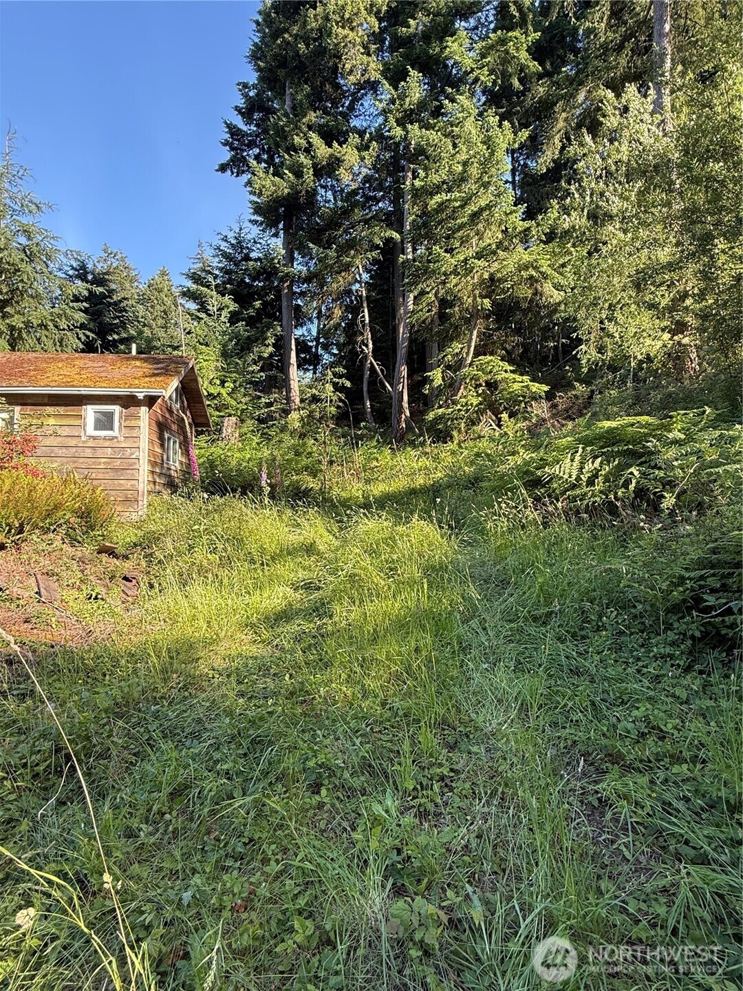 2959 Dogwood Terrace Property Photo 4