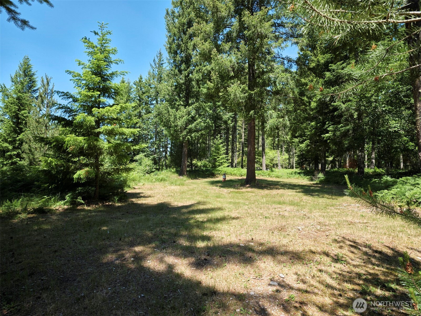 0 Loowit Lane Property Photo 1