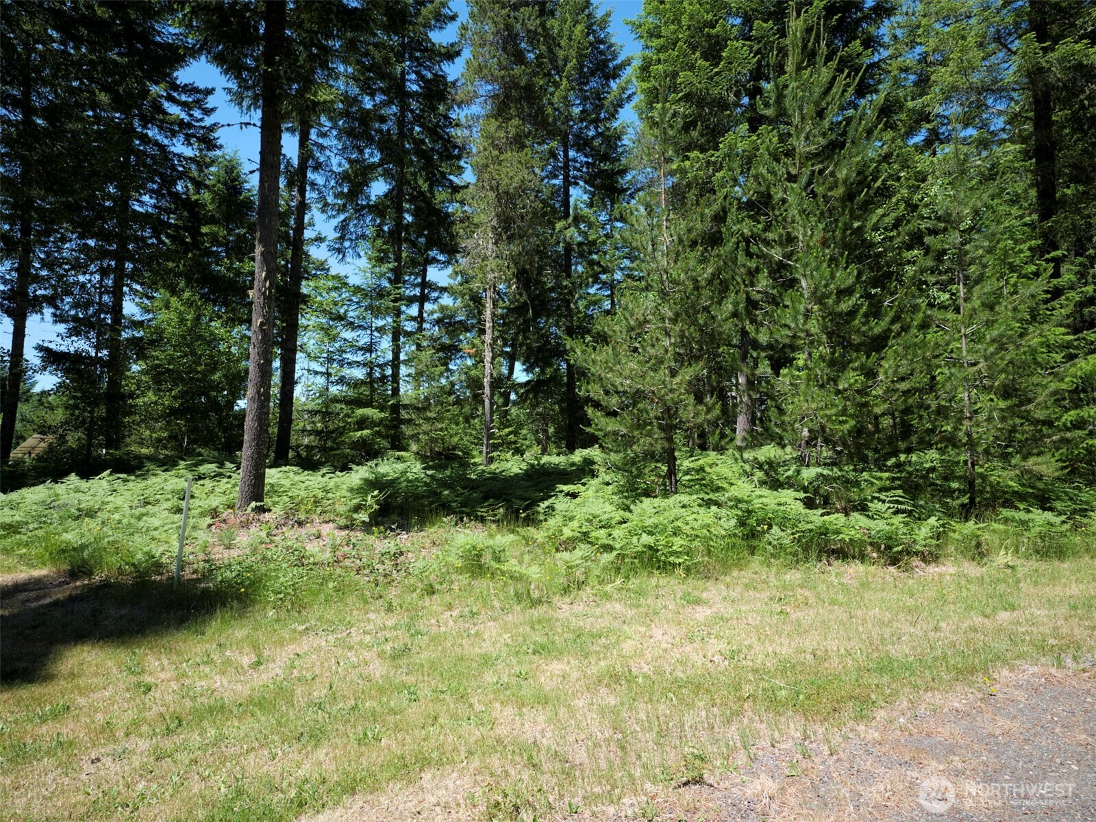 0 Loowit Lane Property Photo 6