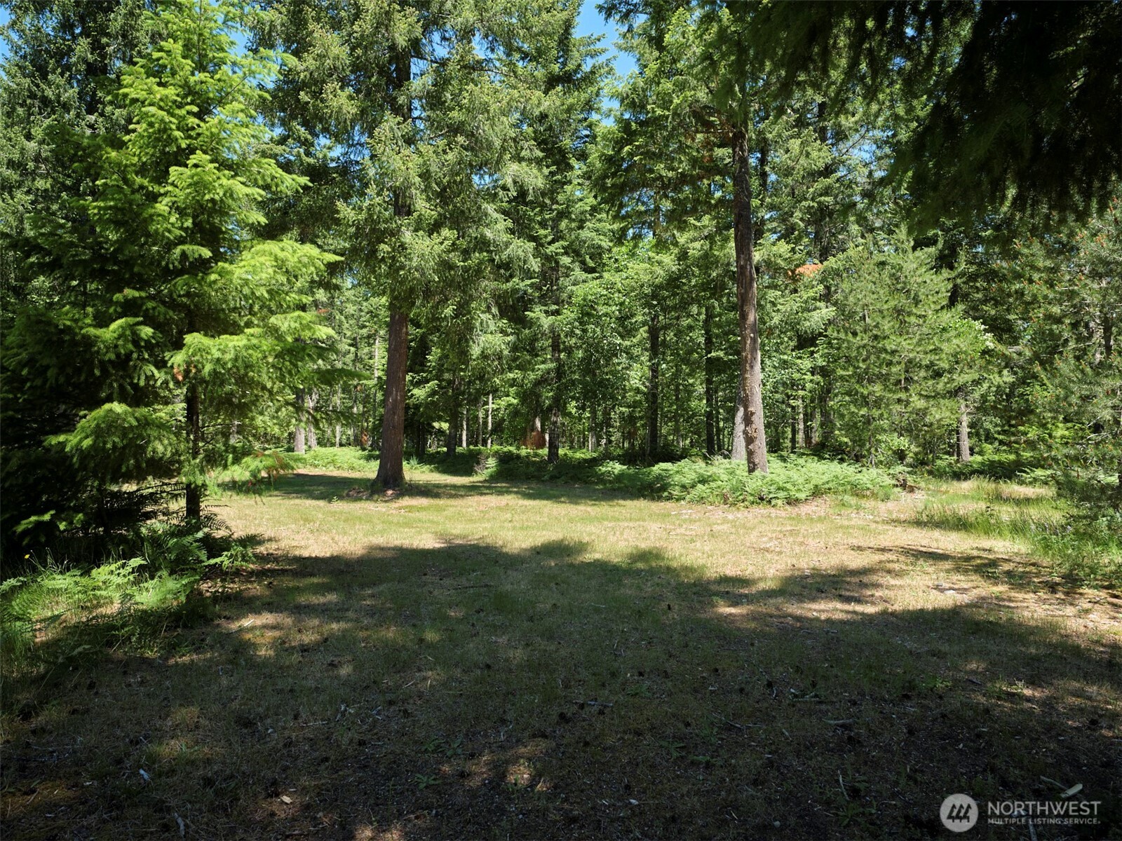 0 Loowit Lane Property Photo 7