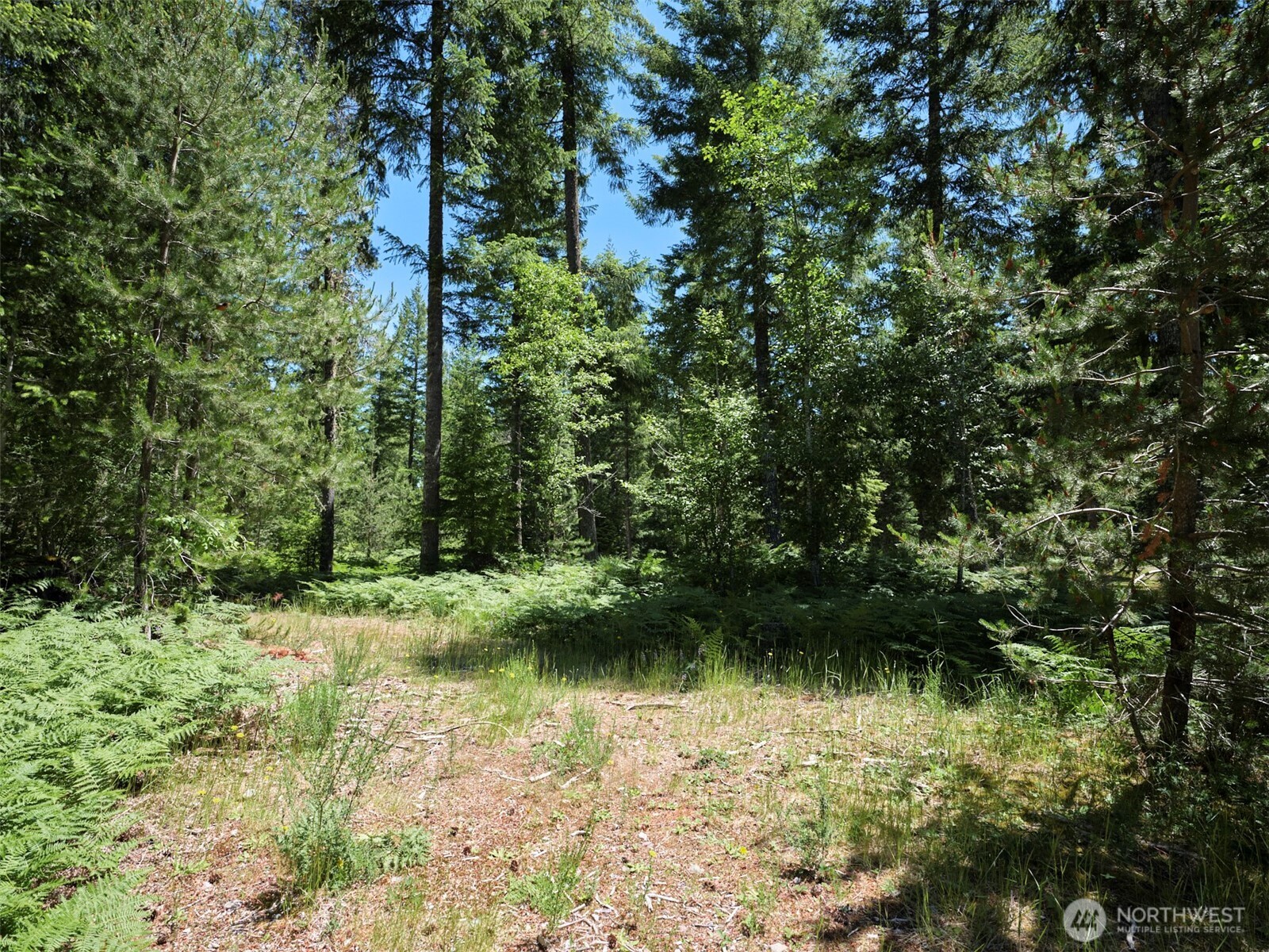 0 Loowit Lane Property Photo 16