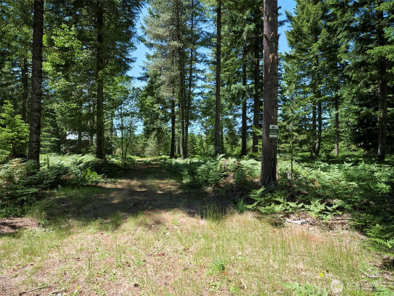 0 Loowit Lane Property Photo 17