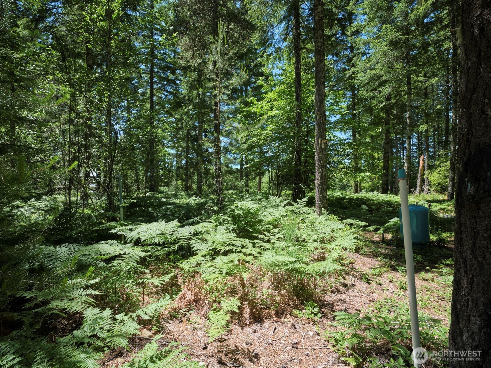 0 Loowit Lane Property Photo 18