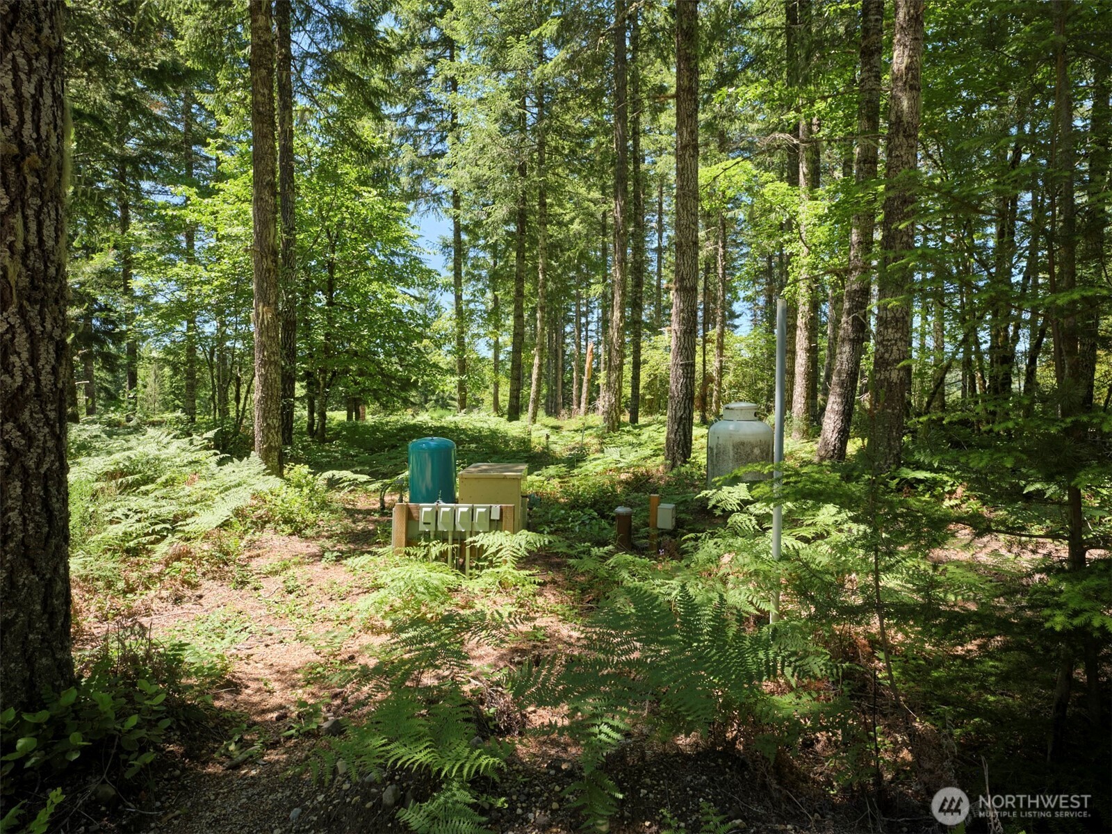 0 Loowit Lane Property Photo 19