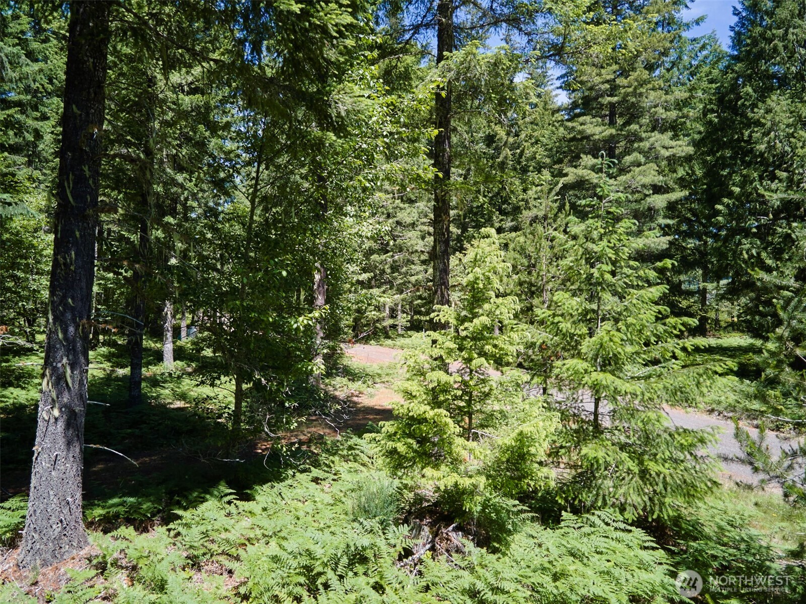 0 Loowit Lane Property Photo 27