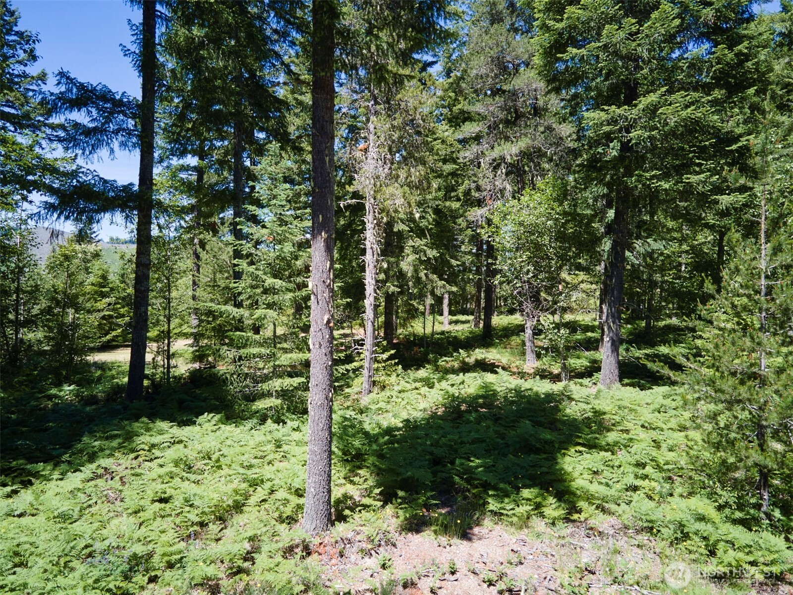0 Loowit Lane Property Photo 29