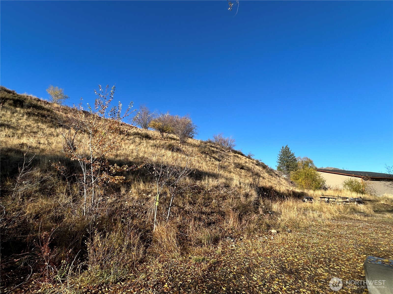 136 Johnson Street Property Photo 12