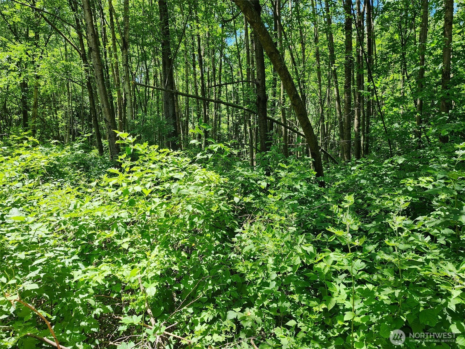 0 188th Street Property Photo 3