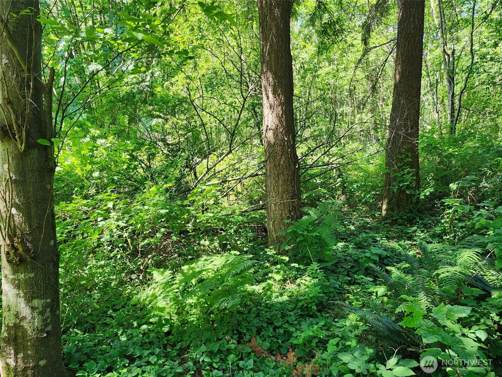 0 188th Street Property Photo 8