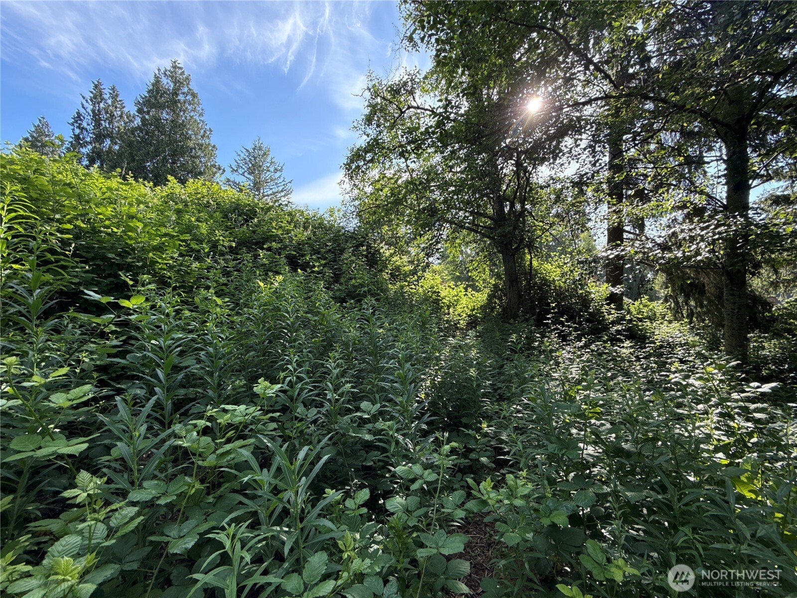 2229 97th Street Property Photo 1