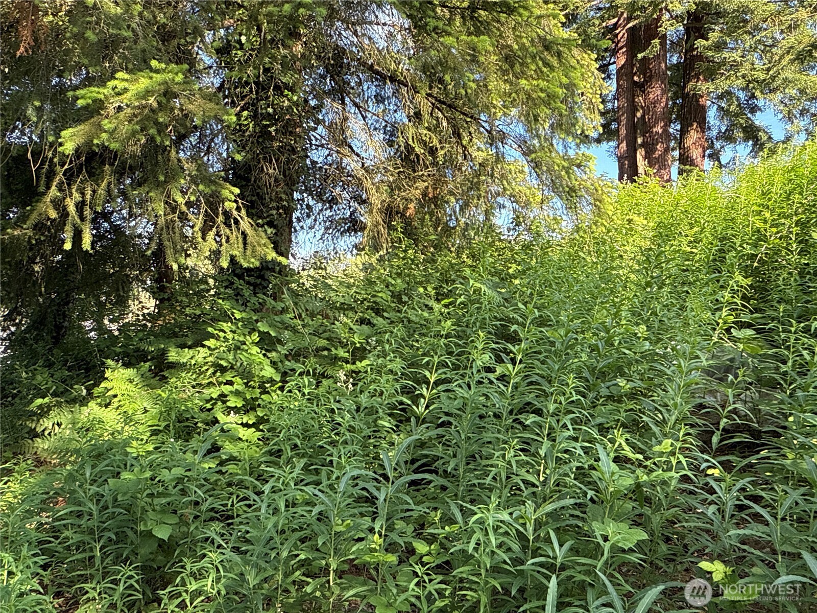 2229 97th Street Property Photo 7